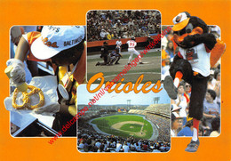 Baltimore Orioles - Baseball - Maryland - United States - Baltimore