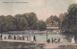 Bruxelles. Lac Du Bois De La Cambre - 1911 ! - Bossen, Parken, Tuinen