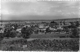 74 Hte Haute SAVOIE - CPSM - St Saint CERGUES Les VOIRONS - Station Climatique - Vue Générale - - Saint-Cergues