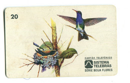 Télécarte Sistema Telebbras (Brésil) : Amazilia Lactea - Uccelli Canterini Ed Arboricoli
