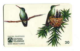Télécarte Sistema Telebbras (Brésil) : Amazilia Brevirostris - Pájaros Cantores (Passeri)