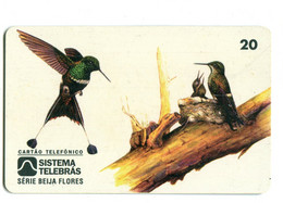 Télécarte Sistema Telebbras (Brésil) : Discosura Longicauda - Songbirds & Tree Dwellers