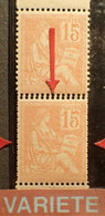 R2253/306 - 1900 - TYPE MOUCHON - (PAIRE) N°117 NEUFS** BdF - SUPERBE VARIETE ➤➤➤ Piquage Double En Bas Tàn - Unused Stamps
