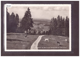 FORMAT 10x15cm - DISTRICT DE GRANDSON - SAINTE CROIX VU DU MONT DE BAULMES - TB - Baulmes