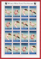 1999 Angola 1999 WWF Lesser Flamingo Birds Wildlife Endangered Species 16v STAMPS SHEET ,MNH(**) - Flamingo