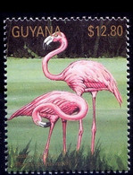 American Flamingo, Phoenicopterus Ruber, Water Birds, Guyana 1990 MNH (**) - Flamingos