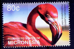 Micronesia 2003 MNH, American Flamingo, Water Birds (**) - Flamingo