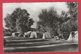 Koksijde - Paradijs Der Kampeerders - Camping 1e Klas / Abdijstraat ... Oldtimer  ( Verso Zien ) - Koksijde