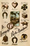 Le Langage Des Porte Bonheur * Carte Photo * N°13 Fer à Cheval Trèfle Dé éléphant ... - Other & Unclassified