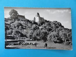 53 - Sainte Suzanne - Le Château XVIIè Siècle - Vaches Au Premier Plan - Sainte Suzanne