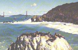 Delcampe - USA:San Francisco, Golden Gate Bridge - Puentes
