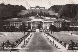CARTOLINA   VIENNA,AUSTRIA,SCHONBRUNN,GESAMTANZIDHT,VIAGGIATA 1954 - Stephansplatz