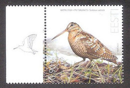 The Eurasian Woodcock - Bird Of The Year 2022 Estonia MNH Stamp  Mi 1038 - Unclassified