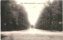 CPA Carte  Postale Belgique-Bruxelles Forêt De Soignes Drève De Lorraine VM47417 - Forêts, Parcs, Jardins