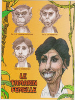 MORCHOISNE - Singe Tamarin Rachida Dati éditions Hors Collection  - CPM 10,5x15 TBE Neuve - Satiriques