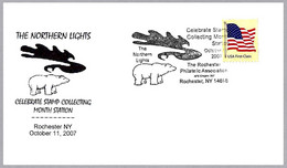 AURORA BOREAL - THE NORTHERN LIGHTS. Oso - Bear. Rochester NY 2007 - Other & Unclassified