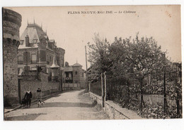 FLINS NEUVE-EGLISE * YVELINES * LE CHATEAU * Animation * CHIENS * éditeur H. Passager - Flins Sur Seine