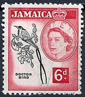 Jamaique Jamaica Jamaika 1956 Red-billed Streamertail Colibri à Tête Noire (Yvert 173, Michel 148, SG Gibbons 166) - Unclassified