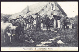 Um 1910 Beschriebene AK: Gütertransport Tannenboden Ob Flums. (In Der Mitte Portier Emil) Etwas Fleckig - Flums