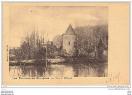 Dilbeek - Kasteel - Château - VUE A DILBEEK - Dilbeek