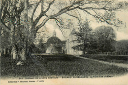 Bouaye * Le Château De La Sénaigerie * La Fuie Et Le Château * Château De La Loire Inférieure N°343 - Bouaye