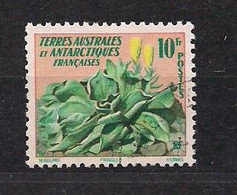 T.A.A.F Terres Australes 1958 Yvertn° 11 (o) Oblitéré Cote 11 Euro Flore - Oblitérés