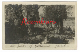 The Garden Of Gethsemane Gethsemone Jerusalem Israel Holy Land Carte Photo Card  CPA AK - Israel