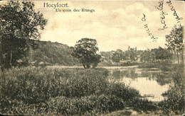 038 514 - CPA - Belgique - Hoeilaart - Hoeylaert - Un Coin Des Etangs - Höilaart