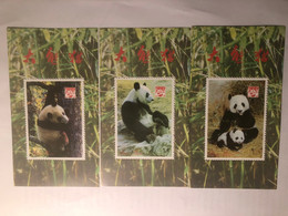 China Commemorative Sheet, Giant Panda, Fake Stamp，10v - Collezioni & Lotti