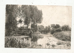 Cp, 61 ,ECOUCHE ,bords De L'ORNE ,  écrite - Ecouche