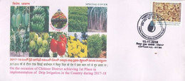 India 2018 Fruits Vegetables Flowers Drip Irrigation Chittoor Special Cover (**) Inde Indien - Cartas & Documentos