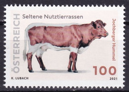 Österreich MNr. 3593 Seltene Nutztierrassen - Jochberger Hummel, Postfrisch - Granjas