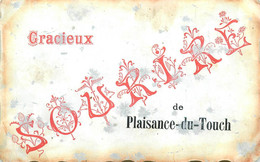 Plaisance Du Touch * Souvenir Et Gracieux Sourire De La Commune - Other & Unclassified