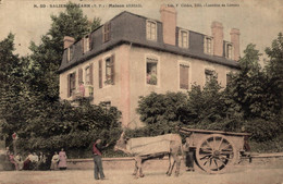 N°27180 Z -cpa Salies De Béarn -maison Abrial- Attelage Boeuf- - Attelages