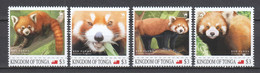 Tonga - MNH Set RED PANDA BEAR - Beren