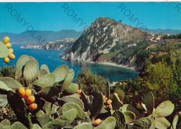 CARTOLINA  ISOLA D"ELBA,LIVORNO,TOSCANA,GOLFO SECCIONE E MONTEBELLO,BELLA ITALIA,VACANZA,MARE,SOLE,VIAGGIATA 1988 - Livorno