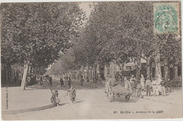 Algérie : BLIDA :  Avenue  De La  Gare - Blida