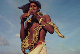 Sri Lanka Folklore Animal Homme Coutume Serpent - Sri Lanka (Ceylon)