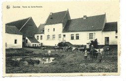 Saintes - Ferme De Sainte Renelde ( Tubize ) - Tubeke