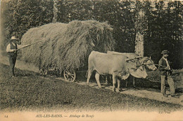 Aix Les Bains * Un Attelage De Boeufs * Fermier Agriculture Travail Aux Champs - Aix Les Bains