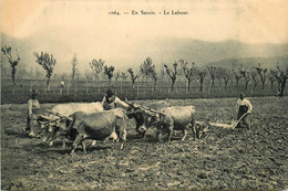 Savoie * Le Labour * Travail Aux Champs * Agriculture Agricole Attelage Boeufs - Other & Unclassified