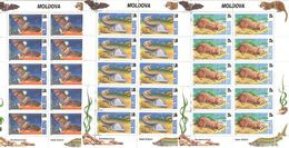 Moldova 1999 . Fauna: Otter, Fish, Bat. 3 KB Of 10.   Michel # 337-39  KB - Moldova