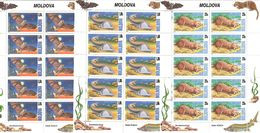 Moldova 1999 . Fauna: Otter, Fish, Bat. 3 KB Of 10.   Michel # 337-39  KB - Moldavie