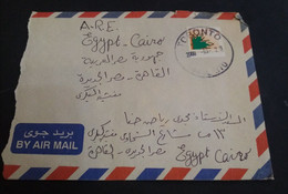 Egypt 2000 , A Cover Sent From Canada With Letter Inside. Dolab - Cartas & Documentos