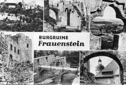 - FRAUENSTEIN (Kr. Brand-Erbisdorf) - BURGRUINE Frauenstein - Scan Verso - - Frauenstein (Erzgeb.)