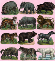 12 Découpis Animaux Sauvages Divers. Eléphant, Ours, Rhinocéros, Hippopotame, Lion, Tigre, Loup, .... - Animali