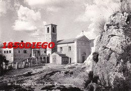 AVEZZANO - CHIESA DELLA PITRACQUARIA F/GRANDE  VIAGGIATA 1956 ANIMAZIONE - Avezzano