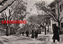AVEZZANO - SOTTO LA NEVE VIA GARIBALDI  F/GRANDE  VIAGGIATA 1957 ANIMAZIONE - Avezzano