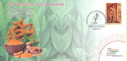 India 2022 Chamarajanagar Turmeric GI Tag Special Cover Food ,Gastronomy Nature Plant (**) Inde Indien - Briefe U. Dokumente