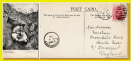 1905 Australia Jenolan Caves Postcard Posted Sidney To England - Covers & Documents